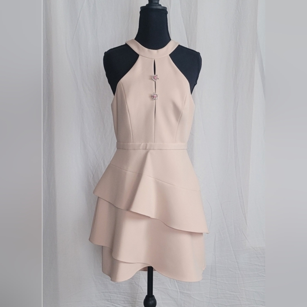 BCBGMaxAzria Blush Asymmetrical Layered Dress